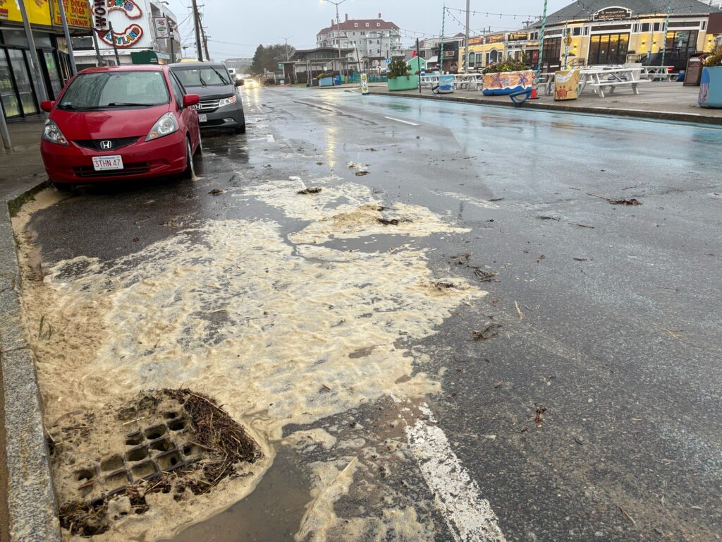 a puddle of water on a street (MyCoast AI)