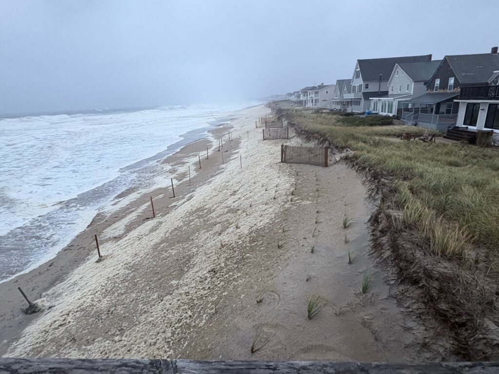 a beach with houses along it (MyCoast AI)