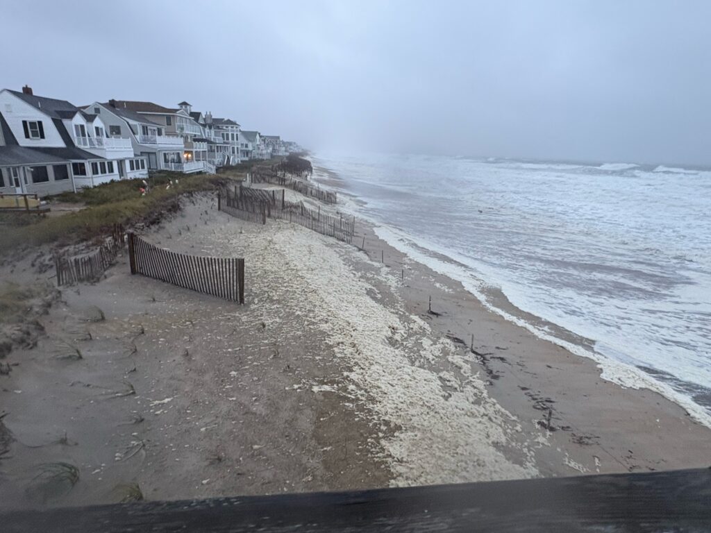 a beach with houses along it (MyCoast AI)
