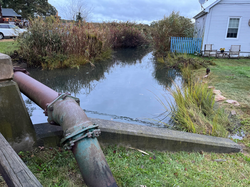 a pipe in a pond (MyCoast AI)