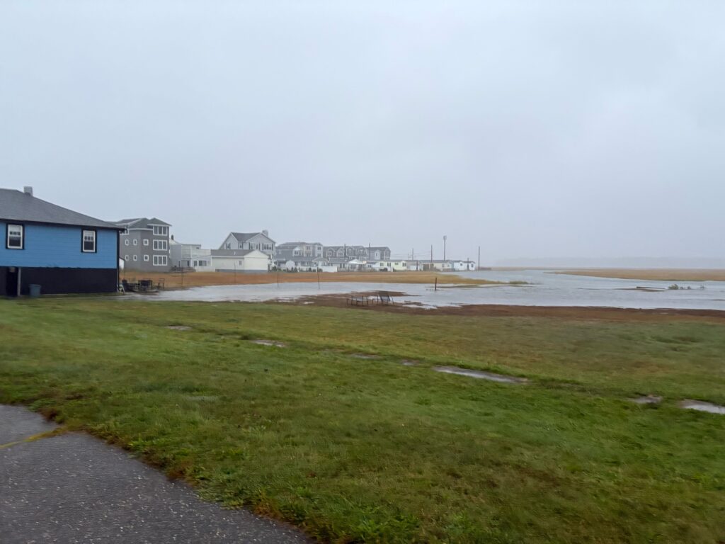 a grassy area next to a body of water (MyCoast AI)