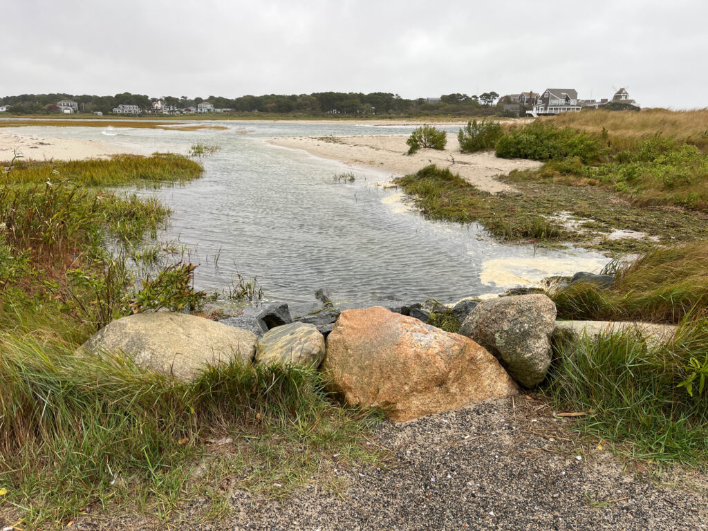 a river with rocks and grass (MyCoast AI)
