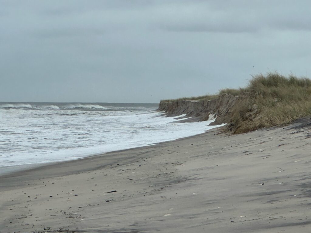 a beach with waves crashing on it (MyCoast AI)