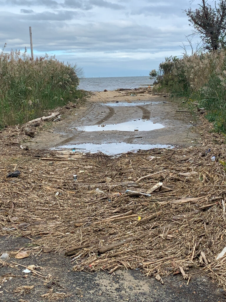 a muddy beach with a few puddles of water (MyCoast AI)
