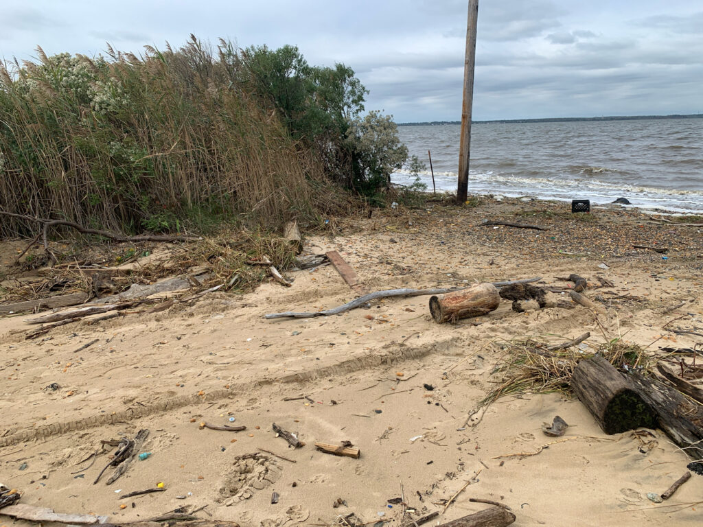a sandy beach with trees and a pole (MyCoast AI)