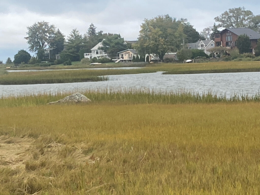a body of water with grass and houses in the background (MyCoast AI)