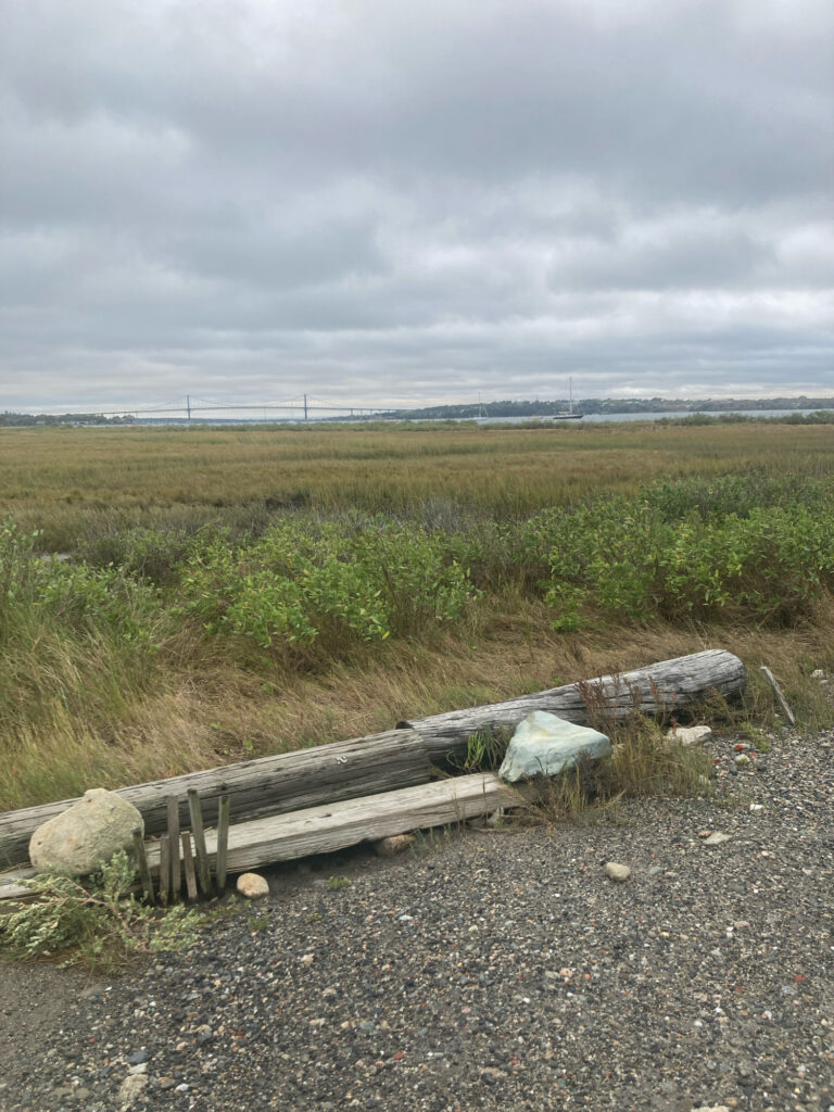 a wooden bench in a field (MyCoast AI)