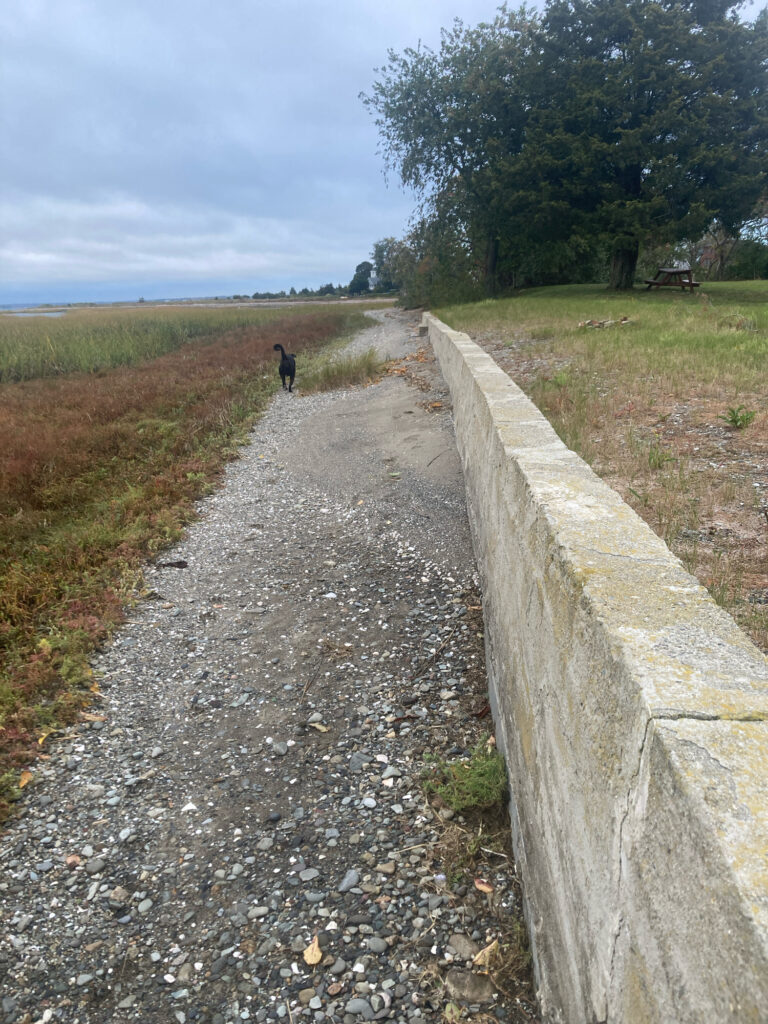 a person walking on a path (MyCoast AI)