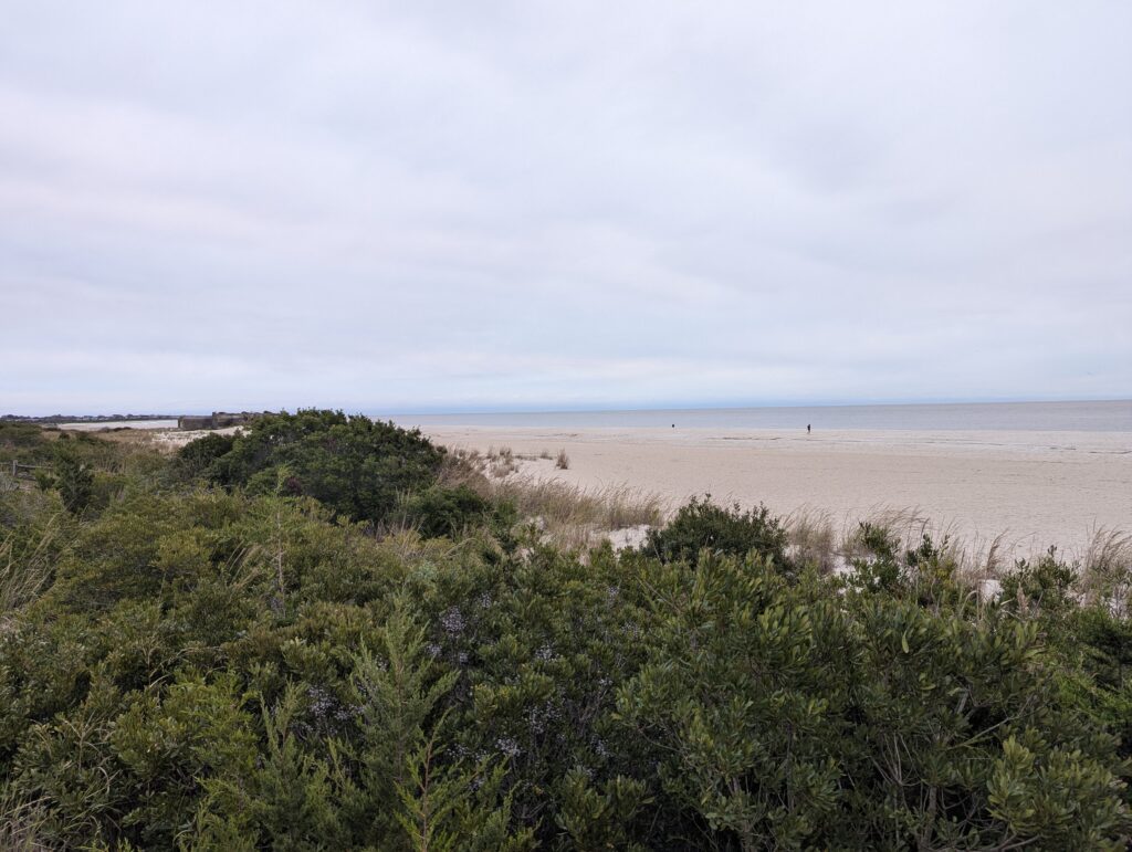 a beach with trees and bushes (MyCoast AI)