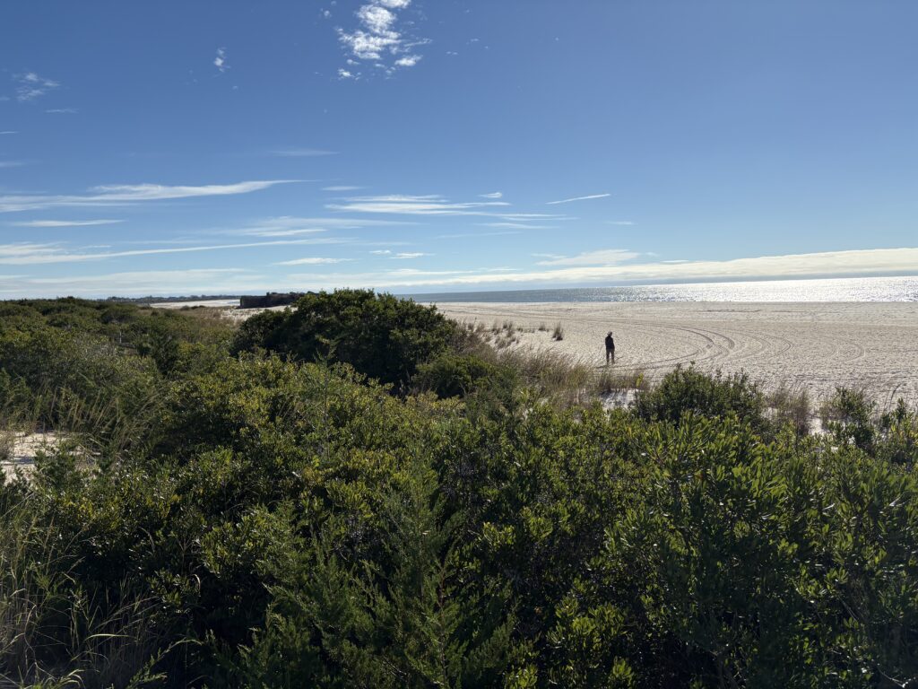 a person walking on a beach (MyCoast AI)