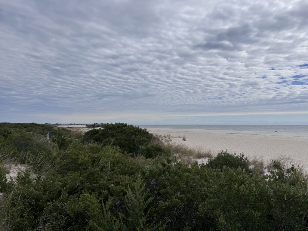 a beach with trees and bushes (MyCoast AI)