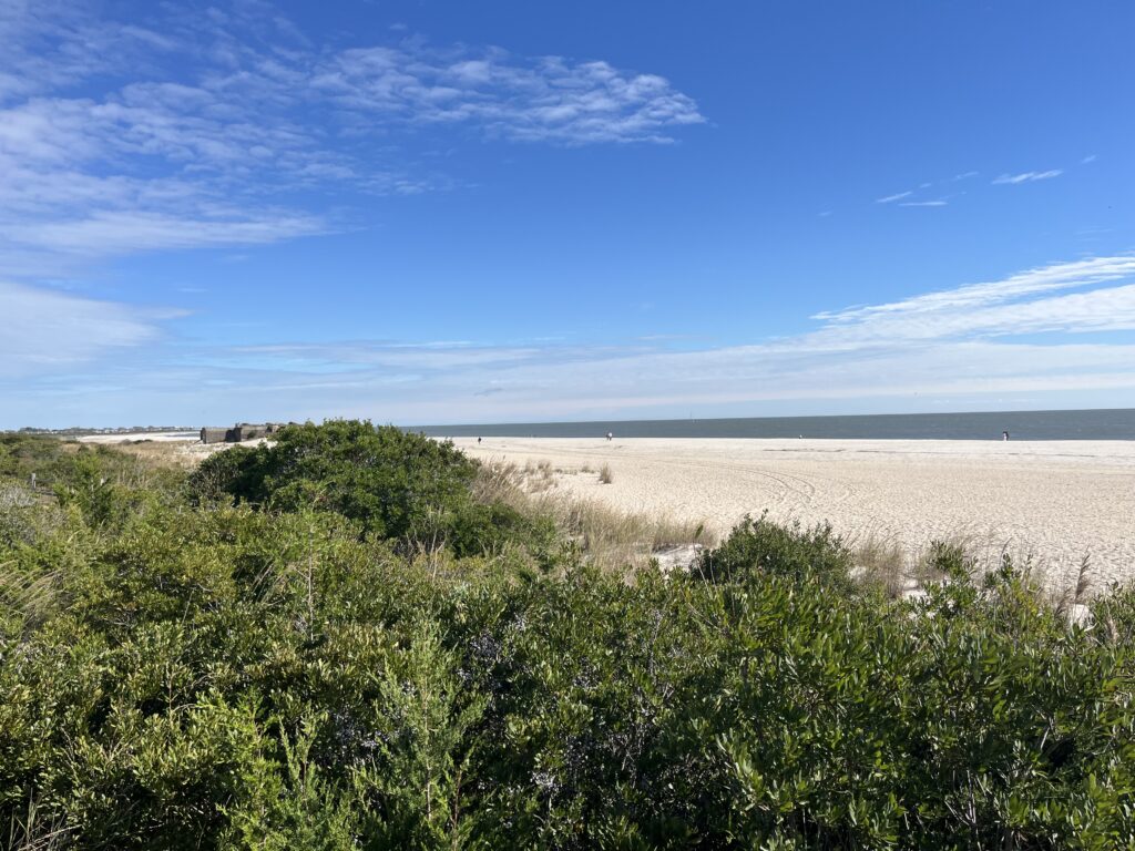 a sandy beach with bushes and trees (MyCoast AI)