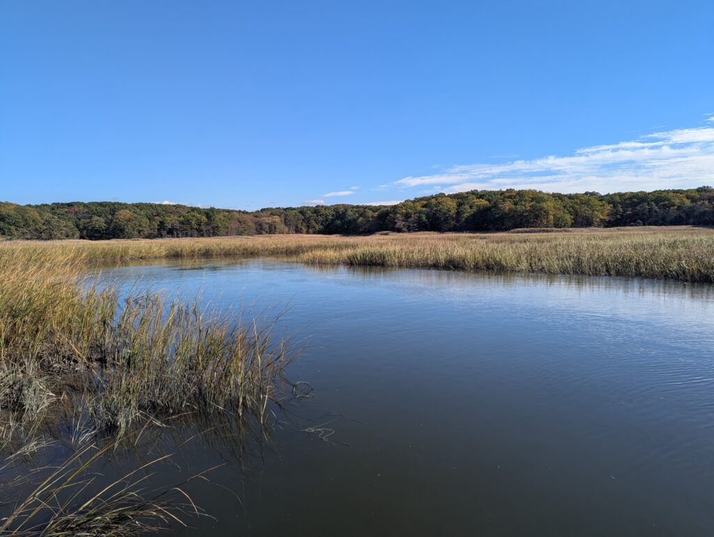a body of water with grass and trees around it (MyCoast AI)