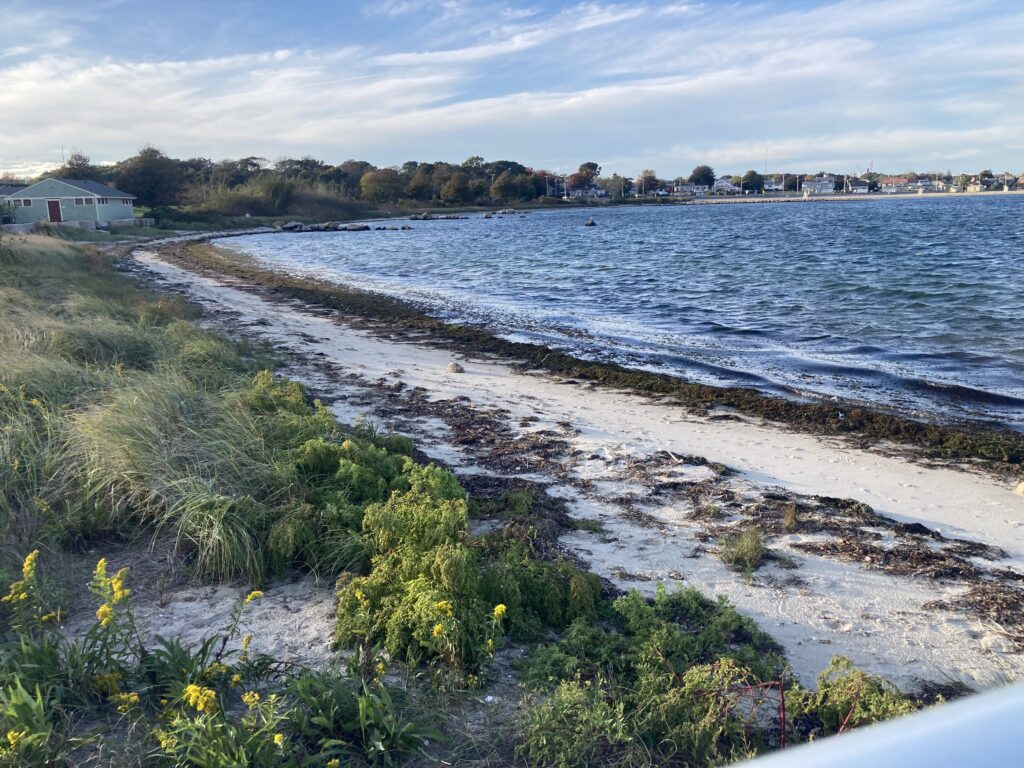a beach with a body of water (MyCoast AI)