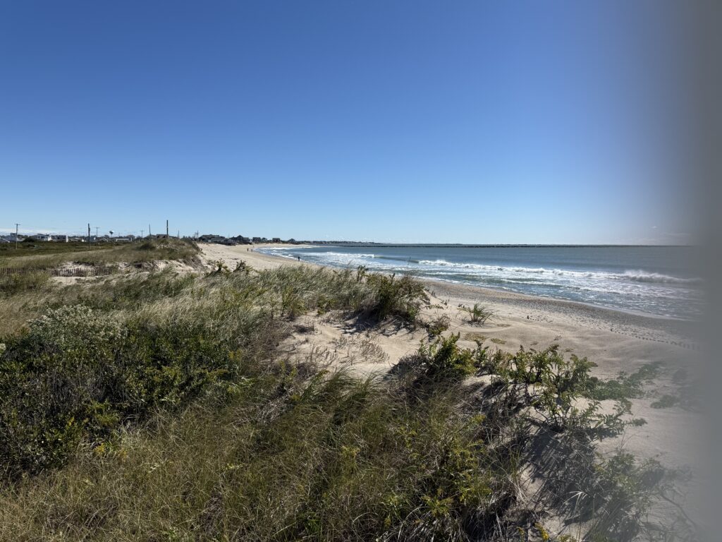 a beach with bushes and sand (MyCoast AI)