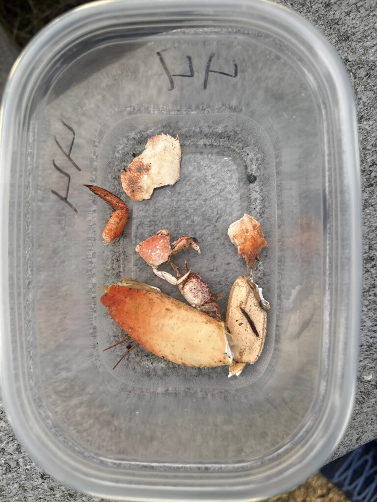 a container with food in it (MyCoast AI)