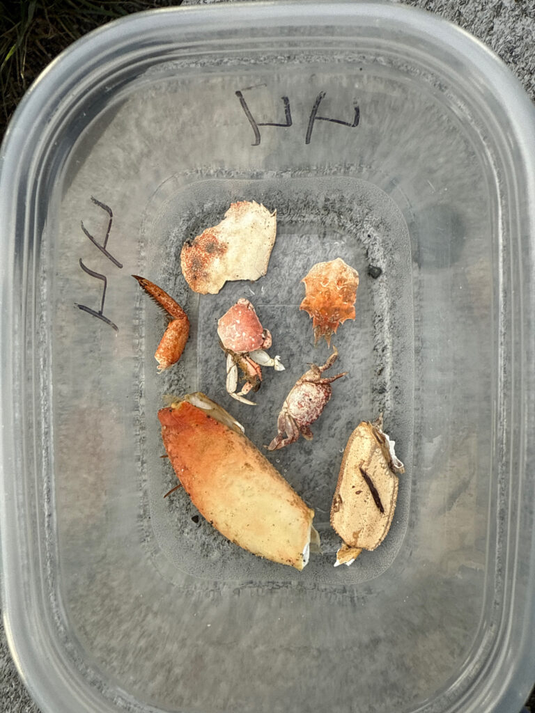 a pan of food (MyCoast AI)