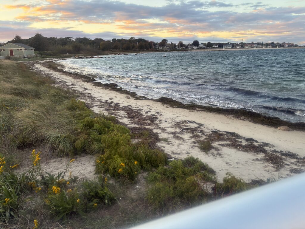 a beach with a body of water and a sunset (MyCoast AI)