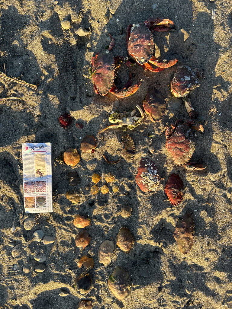 a book on the ground (MyCoast AI)
