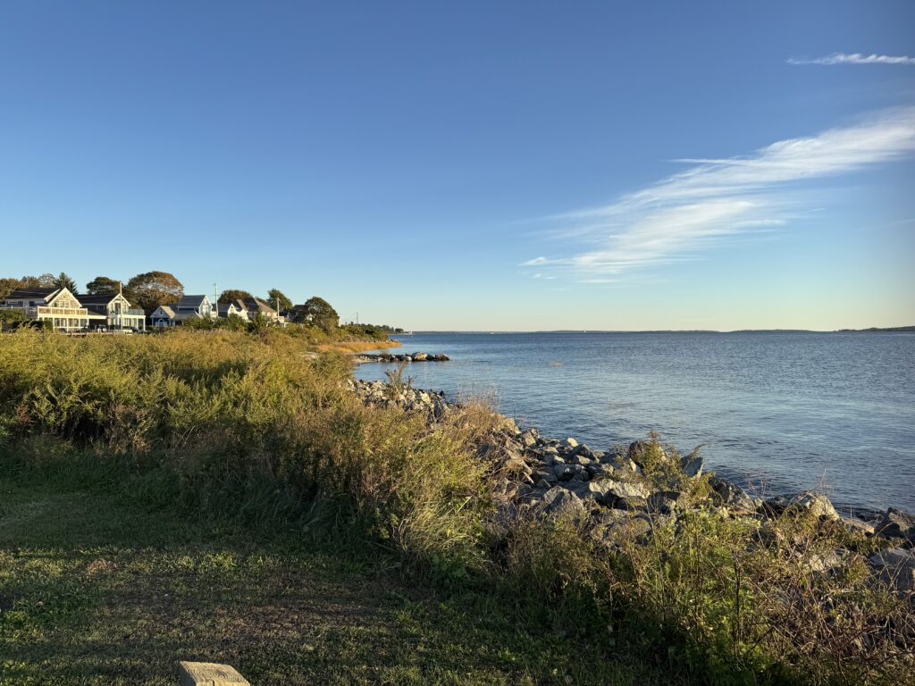 a body of water with houses along it (MyCoast AI)