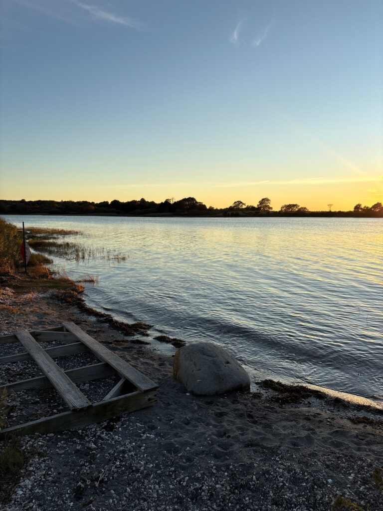 a dock on a lake (MyCoast AI)