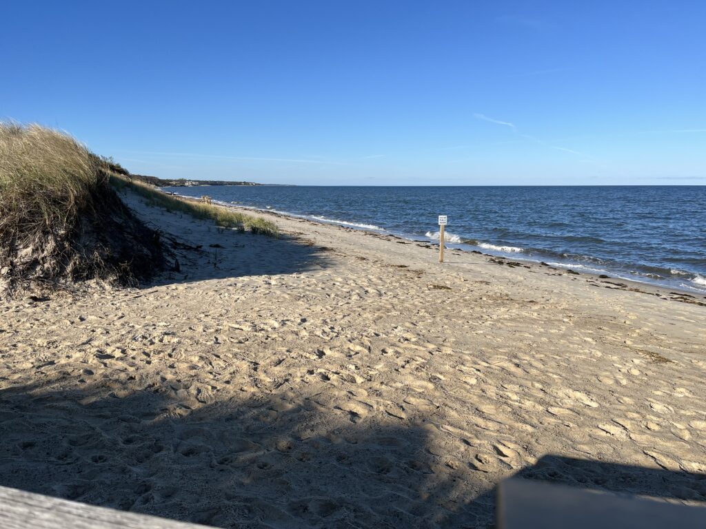 a sandy beach with a body of water in the background (MyCoast AI)