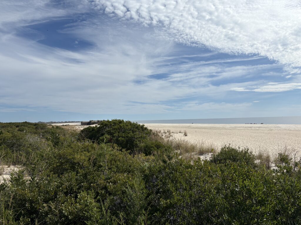 a sandy beach with bushes and trees (MyCoast AI)