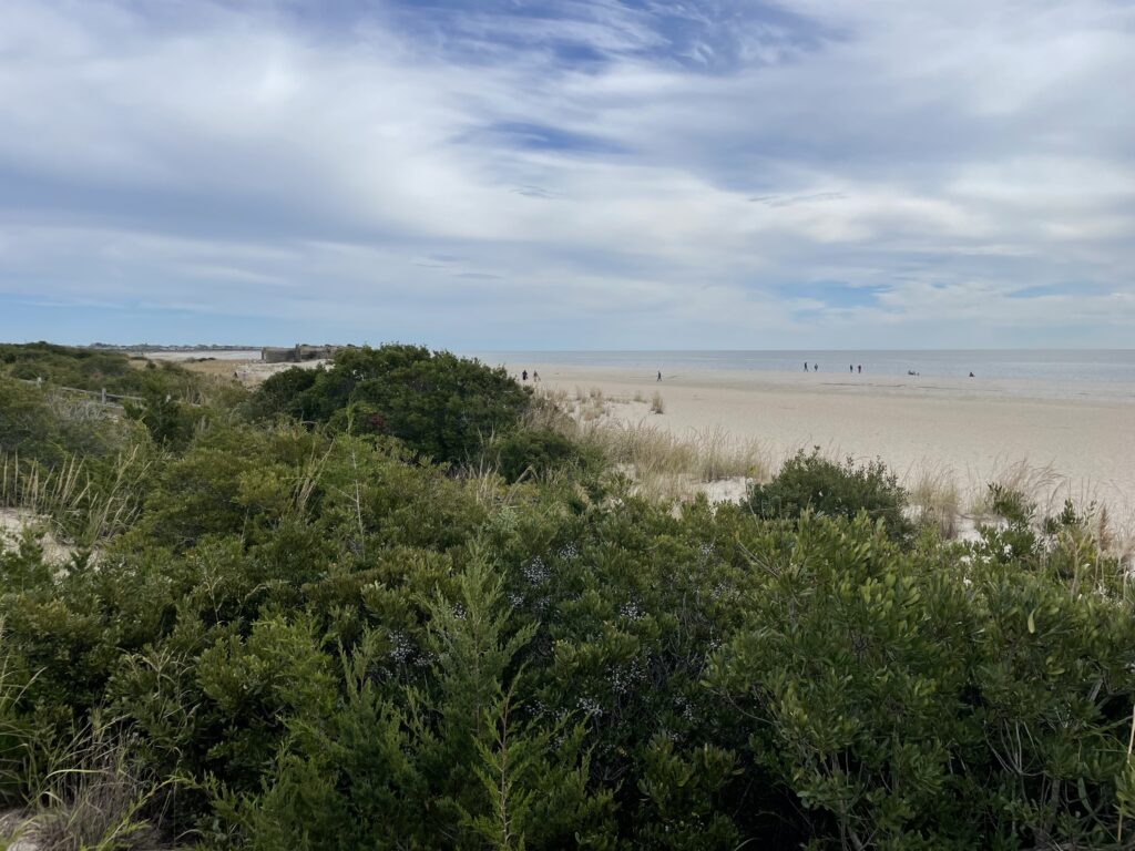 a beach with bushes and trees (MyCoast AI)
