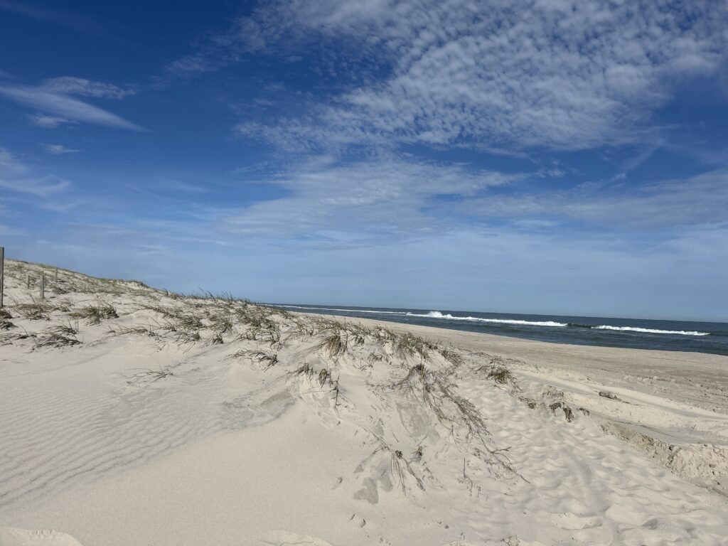 a sandy beach with a body of water in the background (MyCoast AI)