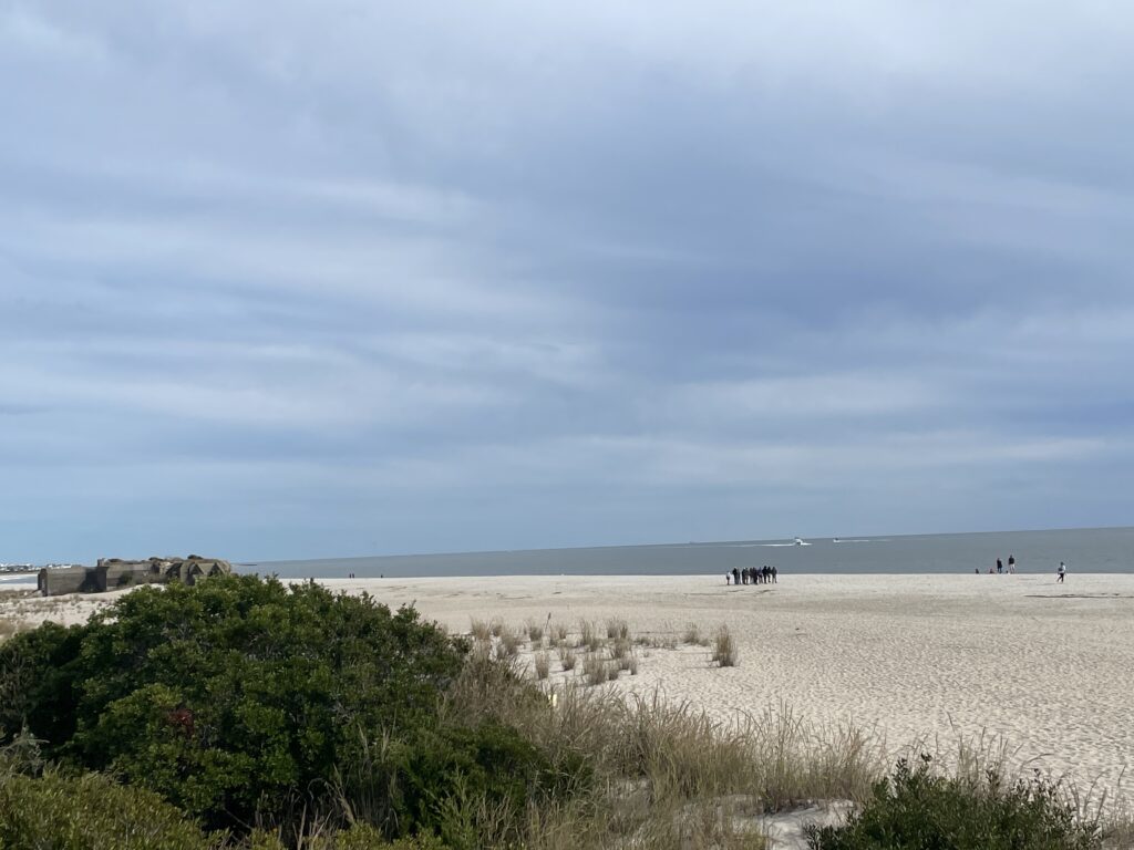 a beach with people walking on it (MyCoast AI)