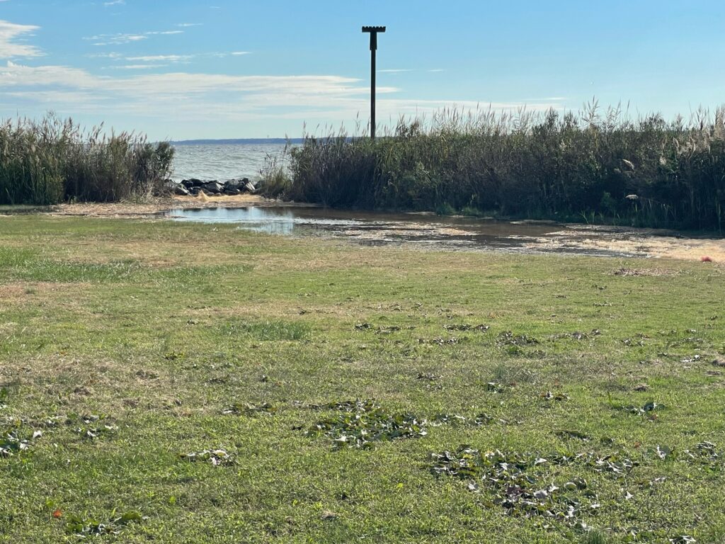 a grassy area with a body of water in the background (MyCoast AI)