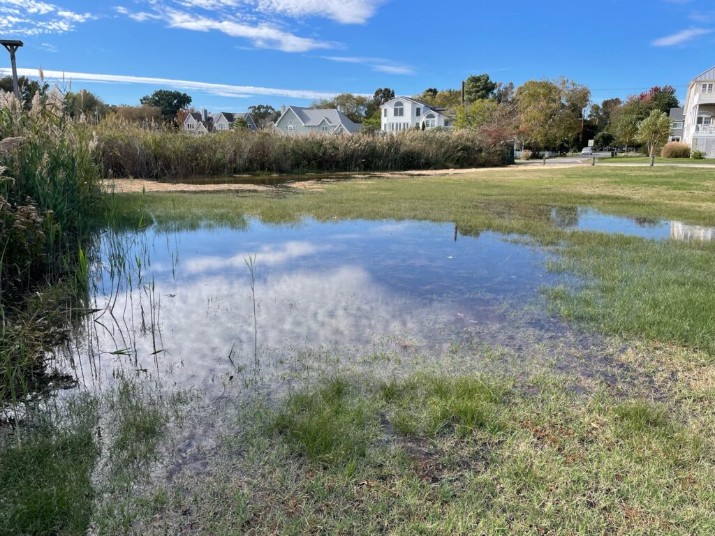 a small pond in a field (MyCoast AI)