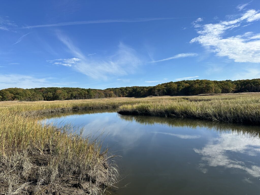 a body of water with grass and trees around it (MyCoast AI)