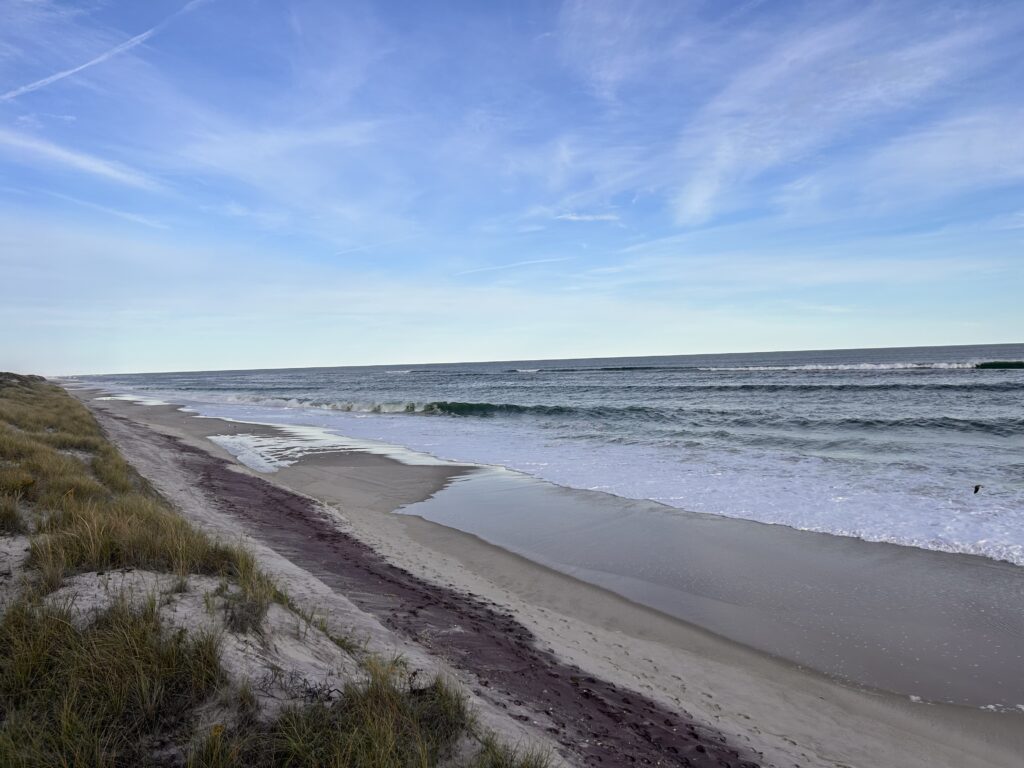 a beach with waves crashing on it (MyCoast AI)