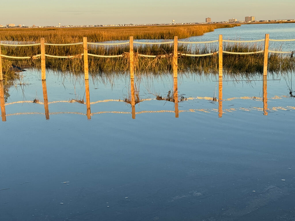 a group of wooden poles in a body of water (MyCoast AI)