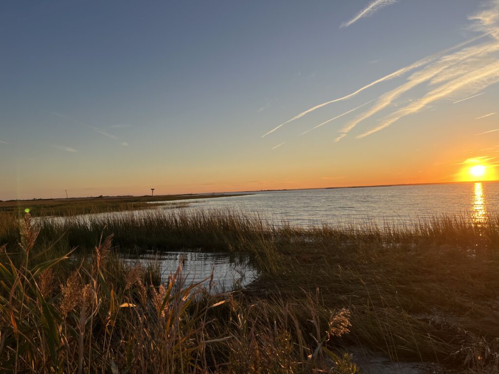 a body of water with grass and a sunset (MyCoast AI)