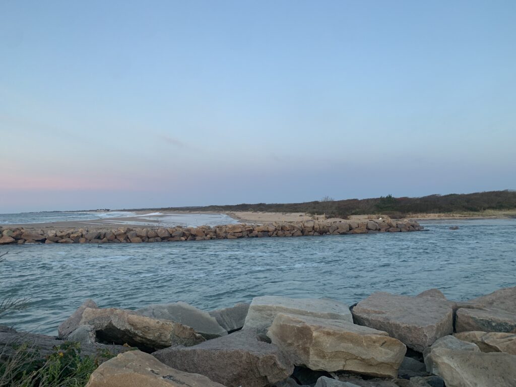 a body of water with rocks and land in the background (MyCoast AI)