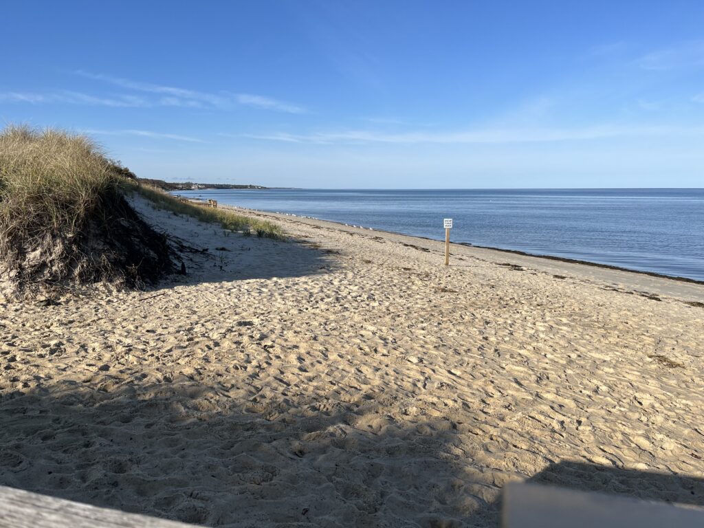 a sandy beach with a body of water in the background (MyCoast AI)