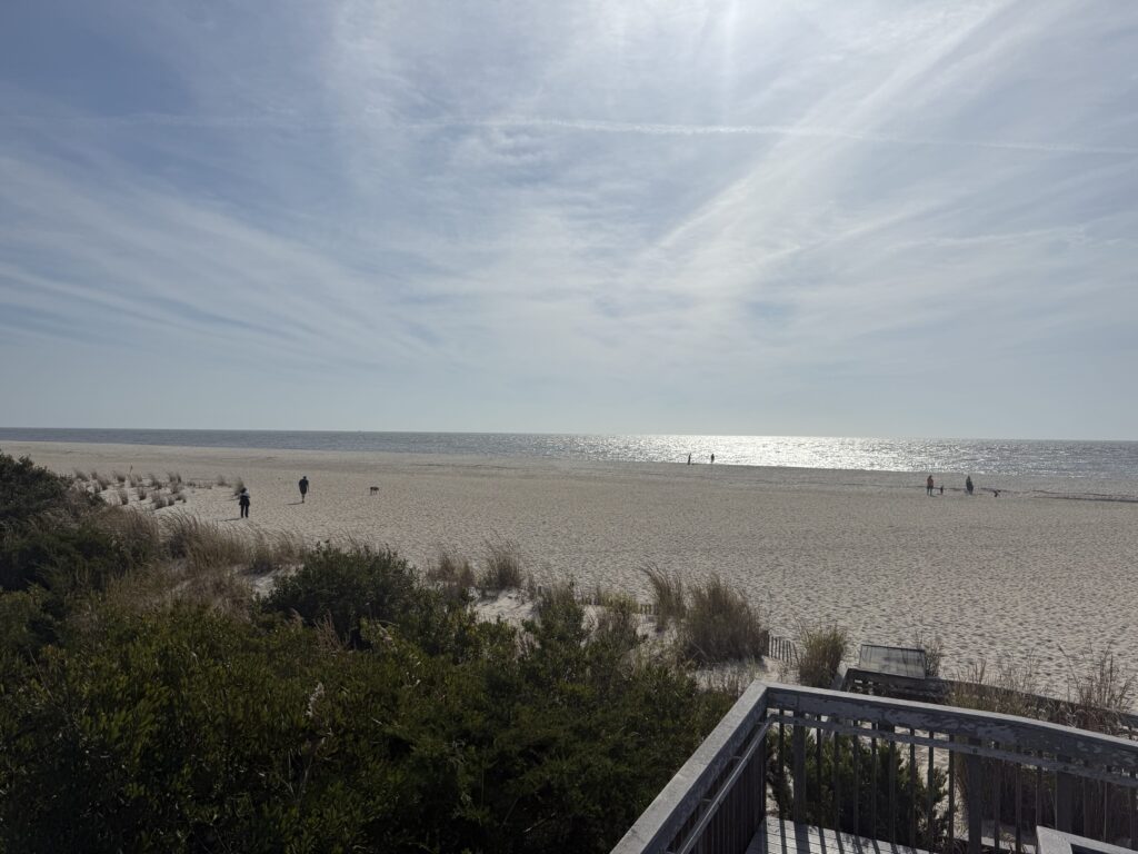 a group of people walking on a beach (MyCoast AI)