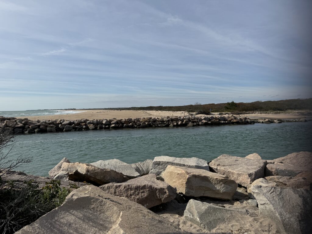 a rocky beach with a body of water in the background (MyCoast AI)