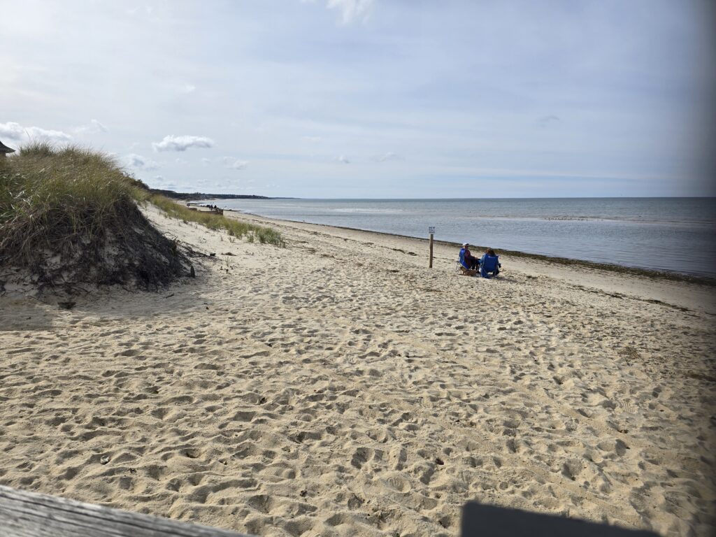 a group of people sitting on a beach (MyCoast AI)