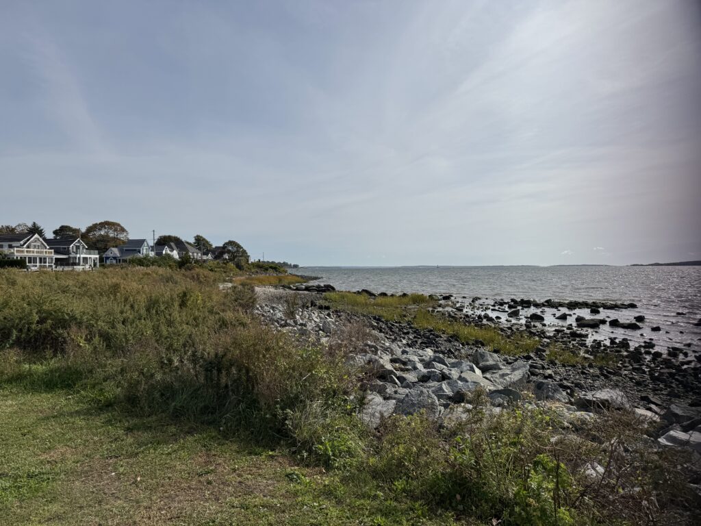 a rocky beach with houses along it (MyCoast AI)