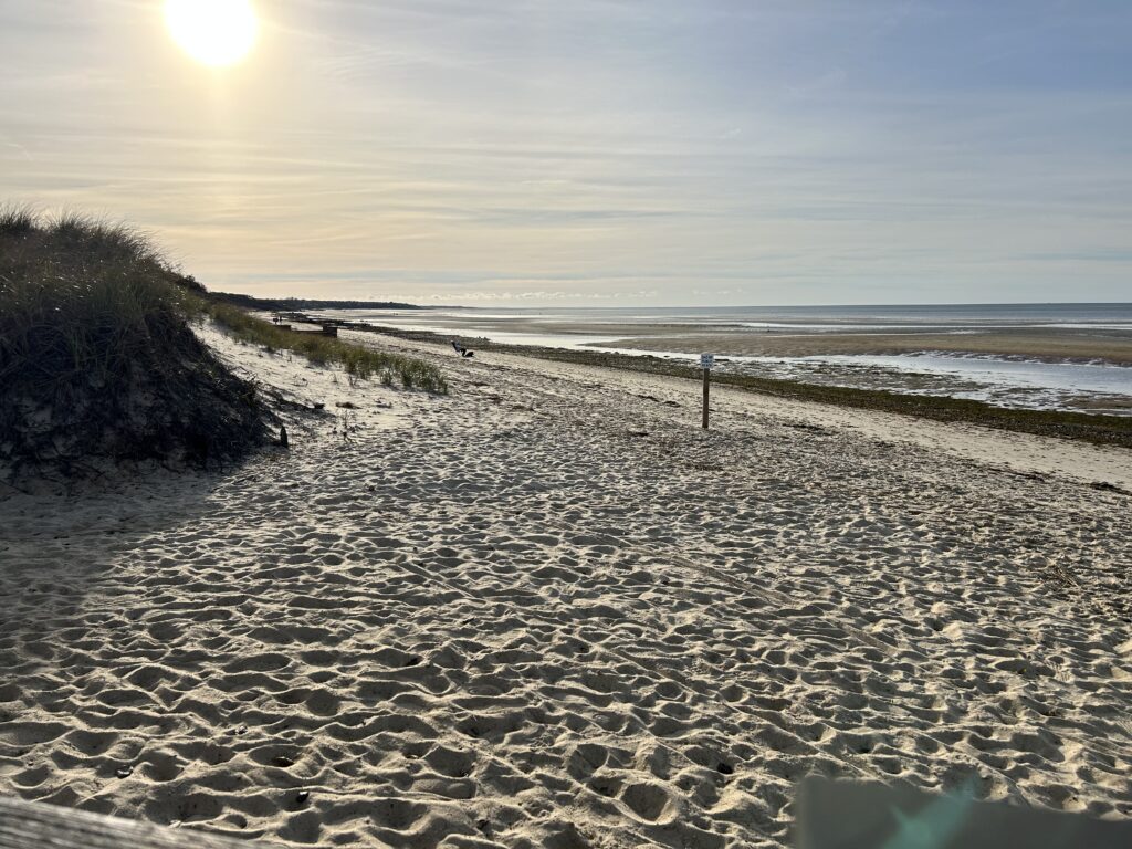 a sandy beach with a fence (MyCoast AI)