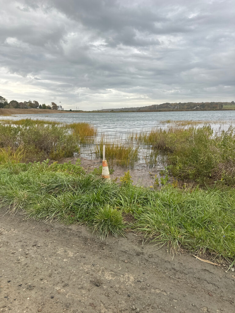 a body of water with plants and a cone in the middle (MyCoast AI)