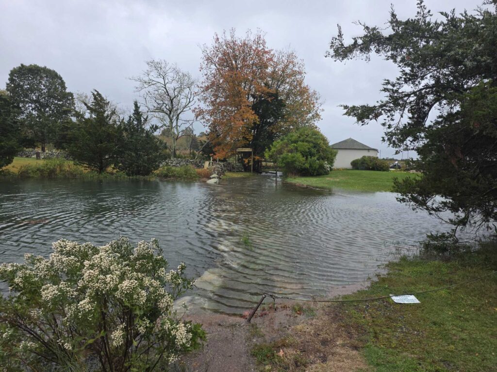 a pond with trees and grass around it (MyCoast AI)