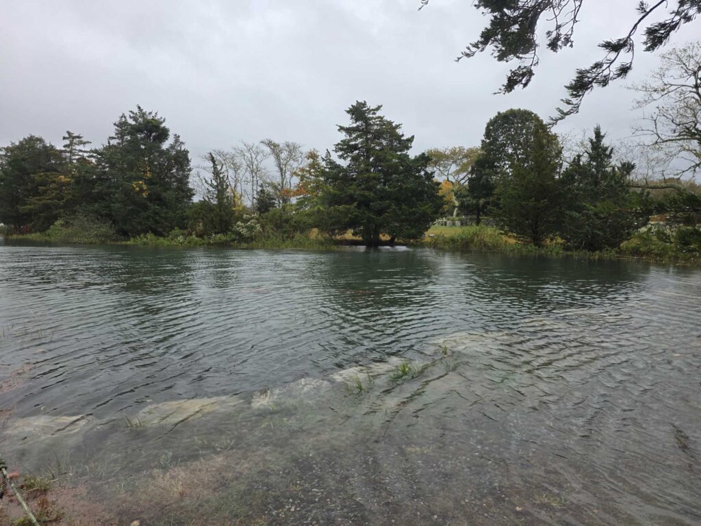 a body of water with trees around it (MyCoast AI)