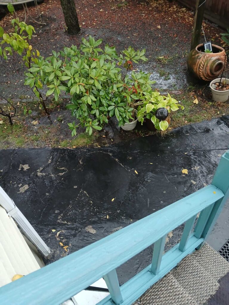 a small garden in a blue plastic container (MyCoast AI)
