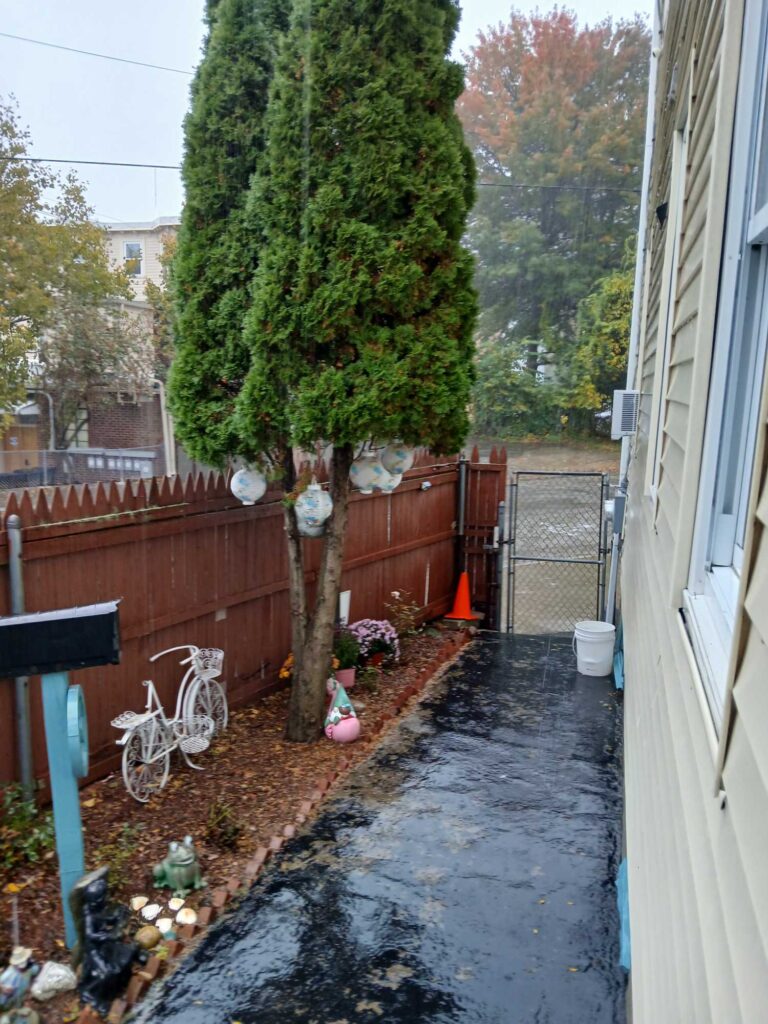 a tree in a backyard (MyCoast AI)
