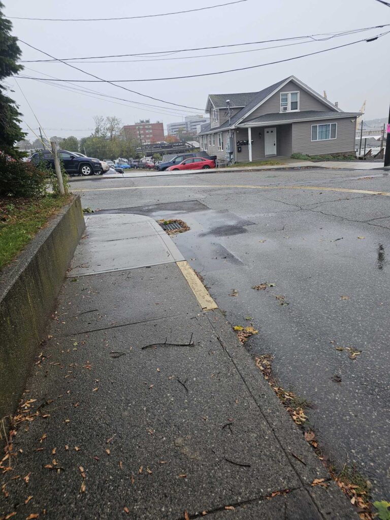a road with a puddle and houses along it (MyCoast AI)