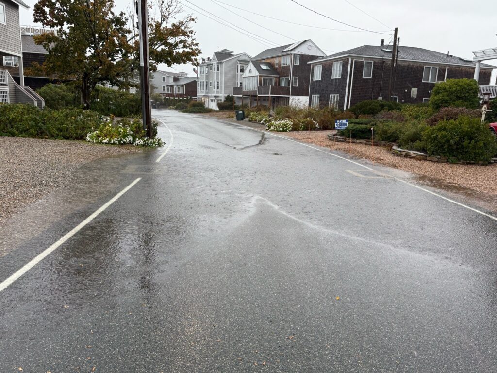 a street with houses along it (MyCoast AI)